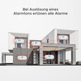 X-Sense Vernetzbarer CO Melder mit Spitzenwert Speicher, Kohlenmonoxidmelder, Akkurater Sensor mit Austauschbarer Batterie & LCD Display, TÜV Zertifiziert nach EN 50291, XC01-WR, 1 Stück