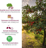 Montmorency-Sauerkirsche Kapseln – hochdosiert (50:1) – Cherry PLUS – pharmazeutische Qualität – laborgeprüft & in Deutschland produziert – 6 Monate – 360 Stück