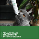 GimCat EXPERT LINE Gastro Intestinal Paste - Funktionaler Katzensnack unterstützt Verdauung und Darmflora - 1 Tube (1 x 50 g)
