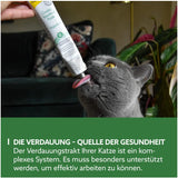 GimCat EXPERT LINE Gastro Intestinal Paste - Funktionaler Katzensnack unterstützt Verdauung und Darmflora - 1 Tube (1 x 50 g)