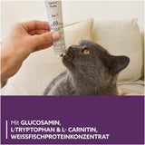 GimCat EXPERT LINE Senior Paste - Funktionaler Katzensnack unterstützt gesunde Alterung von Katzen ab 7 Jahren - 1 Tube (1 x 50 g)