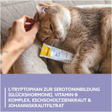 GimCat EXPERT LINE Relax Paste - Funktionaler Katzensnack unterstützt Entspannung und Wohlbefinden der Katze - 1 Tube (1 x 50 g)